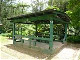 Bosque Estatal de Toro Negro - OROCOVIS, JAYUYA, JUANA DÍAZ
